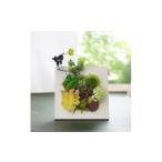 花 苗木 アーティフィシャルプランツ 多肉植物のフレームフ…