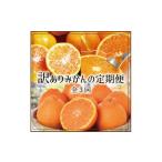 果物類 みかん 3か月定期便 届く 訳ありみかんの定期便