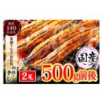 ふるさと納税 うなぎ 福岡県 行橋市 AU-065 当店オリジナル味付け 九州産・鰻の蒲焼2尾(計500g前後)