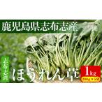 野菜類 志布志湾ほうれん草 200g×5袋
