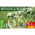野菜類 訳あり 志布志湾ほうれん草 計1kg