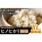 米 ヒノヒカリ 5分づき 10kg