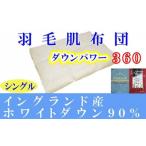 タオル 寝具 掛け布団 羽毛肌掛け布団 シングル