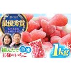ふるさと納税 いちご 佐賀県 江北町 王様のいちご 摘みたてこおりいちご 1kg ( 冷凍いちご ) いちごさん さがほのか むらおか農園 HAF007
