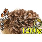 fu.... налог овощи вид .. . Iwate префектура Hachiman flat город скорейший предварительный заказ 2026 год 9 месяц отправка начало предположительно сырой .... большой АО примерно 1200g дешево соотношение ....| сырой .... Mai . мой take сырой Mai ....