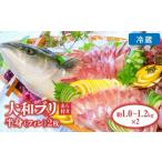 旬の鮮魚等 大和フ ゙リ 半身 フィレ 約1kg×2枚