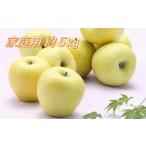 ふるさと納税 りんご 長野県 豊丘村 I-4 りんご シナノゴールド 約5kg(10〜18玉入り) ご家庭用 2025年発送 先行予約