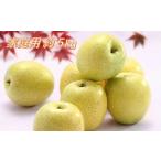 ふるさと納税 りんご 長野県 豊丘村 I-6 りんご 王林 約5kg(10〜18玉入り) ご家庭用 2025年発送 先行予約