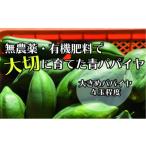 野菜類 無農薬 有機肥料で大切に育てた 青パパイヤ