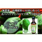 野菜類 無農薬 有機肥料で大切に育てた パパイヤ