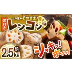 人参 大根 他根菜 れんこん 泥付き レンコン 約2.5kg