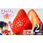 いちご 紅ほっぺ約 2kg