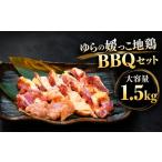 鶏肉 ムネ ゆらの媛っこ地鶏BBQセット 約1.5kg