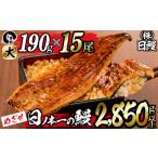 うなぎ 日ノ本一の鰻の蒲焼き 大 計15尾セット