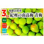 野菜類 青梅 南高梅 3kg