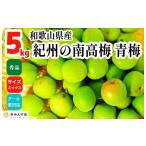 野菜類 青梅 南高梅 5kg