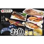 干物 焼くだけ簡単 丸や岡田商店お魚セット 5種