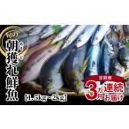 旬の鮮魚等 S059-T01_ 定期便3回