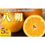 ふるさと納税 みかん・柑橘類 和歌山県 湯浅町 V7405_八朔(はっさく) 約5kg 和歌山県有田産 春みかん(果実サイズおまかせ) 春柑橘 紀伊国屋文左衛門本舗
