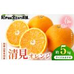 みかん 柑橘類 2027年 麗紅 約5kg