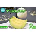 ショッピングふるさと納税 メロン ふるさと納税 茨城県 鉾田市 糖度16度以上！！プレミアムアールスメロン（2玉）