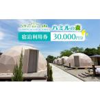 ふるさと納税 栃木県 那須町 那須ハミルの森　宿泊利用券(30,000円分)〔G-20〕≪グランピング キャンプ キャンプファイヤー BBQ 自然 ≫