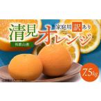 みかん 柑橘類 オレンジ 2027年 紀州有田産