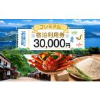 旅行 プレミアム 宿泊 利用券 30 000円分