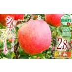 りんご シナノスイート 秀 2.8kg