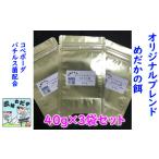 生き物 M-ZH19. メダカの健康を考えた