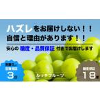 ふるさと納税 山梨県 笛吹市 【全房糖度18度保証付】シャインマスカット 2kg以上【数量限定】旬の美味しいフルーツだけをお届けします【ルッチ Rucci】産地直…