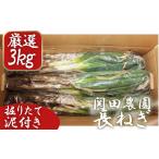 fu.... налог овощи вид лук порей Saitama префектура Сираока город . рисовое поле сельское хозяйство .. [ тщательно отобранный длина лук порей ( грязь имеется )] коробка 3kg 11246-0114