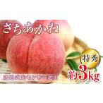ふるさと納税 もも 福