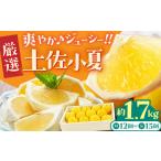 ふるさと納税 みかん・柑橘類 高知県 高知市 先行予約・申込は6月下旬頃まで 厳選 土佐小夏 約1.7kg 有限会社 武田青果 高知 小夏 コナツ こなつ 果物 柑橘 …