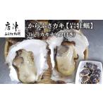 ふるさと納税 牡蠣 生牡蠣 佐賀県 唐津市 『先行予約』 令和8年6月から発送 唐津市唐房産 からふさカキ『岩牡蠣』3kg(カキナイフ付き) 貝 BBQ ギフト アウトド…