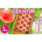 ショッピングふるさと納税 桃 ふるさと納税 山形県 西川町 FYN9-381 《先行予約》2024年 山形県産 ご自宅用 品種おまかせ 白桃 5kg 2024年8月上旬から順次発送 もも モモ 桃 訳あり くだも…