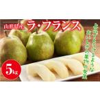 ショッピングふるさと納税 梨 ふるさと納税 梨 山形県 西川町  2026年先行予約 山形県産 西洋梨 ラ・フランス 5kg(14〜20個) 2026年11月上旬から順次発送 洋梨 ラフランス 秋果実 果物 くだ…