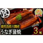 ショッピングうなぎ 国産 ふるさと納税 鹿児島県 鹿屋市 1469-1 【土用の丑の日対応6／30入金まで】鹿児島県大隅産うなぎ蒲焼３尾計450g国産本格うなぎ鰻蒲焼鹿児島 【3尾】鹿児島県大…