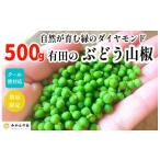 fu.... налог овощи вид приправа Wakayama префектура Arita река блок [5 месяц последняя декада отгрузка предположительно ] виноград плоды зантоксилума 500g реальный плоды зантоксилума сырой плоды зантоксилума прохладный рейс соответствует Wakayama префектура производство 