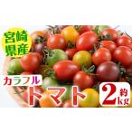 トマト ミニトマト 受付中 予定 カラフルトマト食べ比べセ…