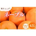 果物類 みかん ネーブル 約4.5kg