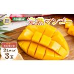 ショッピングふるさと納税 マンゴー ふるさと納税 マンゴー 宮崎県 小林市  数量限定・先行受付 厳選宮崎完熟マンゴーよくばり3玉 計1kg程度（フルーツ 2026 マンゴー 先行予約 完熟マンゴー 宮崎…