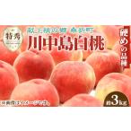ふるさと納税 もも 福