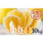 ふるさと納税 みかん・柑橘類 高知県 東洋町  先行予約 訳アリ 西内小夏 10kg　N52 訳アリ 西内小夏 10kg