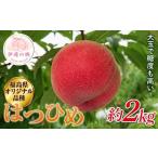 ふるさと納税 もも 福�