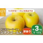 ふるさと納税 りんご 長野県 小布施町  訳あり シナノゴールド 約3kg 6〜12玉 ［おぶせファーマーズ］ 不揃い 規格外 家庭用 果物 フルーツ りんご 林檎 リン…