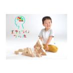 玩具 つみき 天才をつくる 積み木 てんつみ 12個