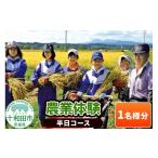 体験チケット 農業体験 半日コース 1名様分