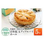 焼菓子 チョコレート アップルパイ 百年紅玉アップルパイ