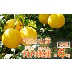 ふるさと納税 みかん�